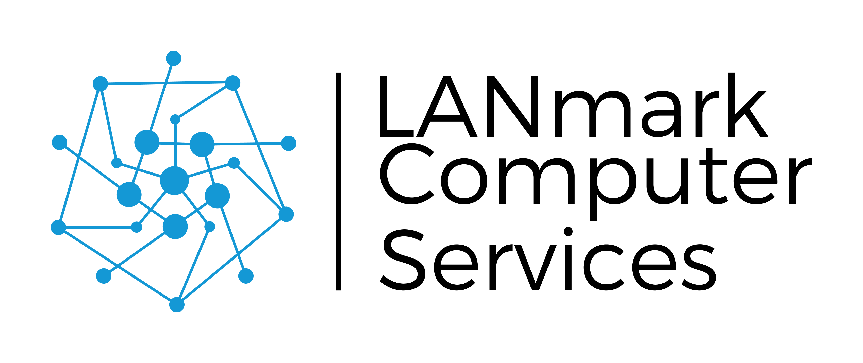 LANmark Computer Services